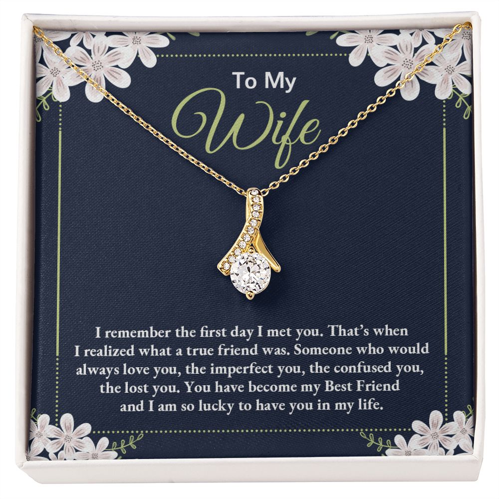 To My Wife, I Remember the First Day I Met You-Alluring Beauty Necklace